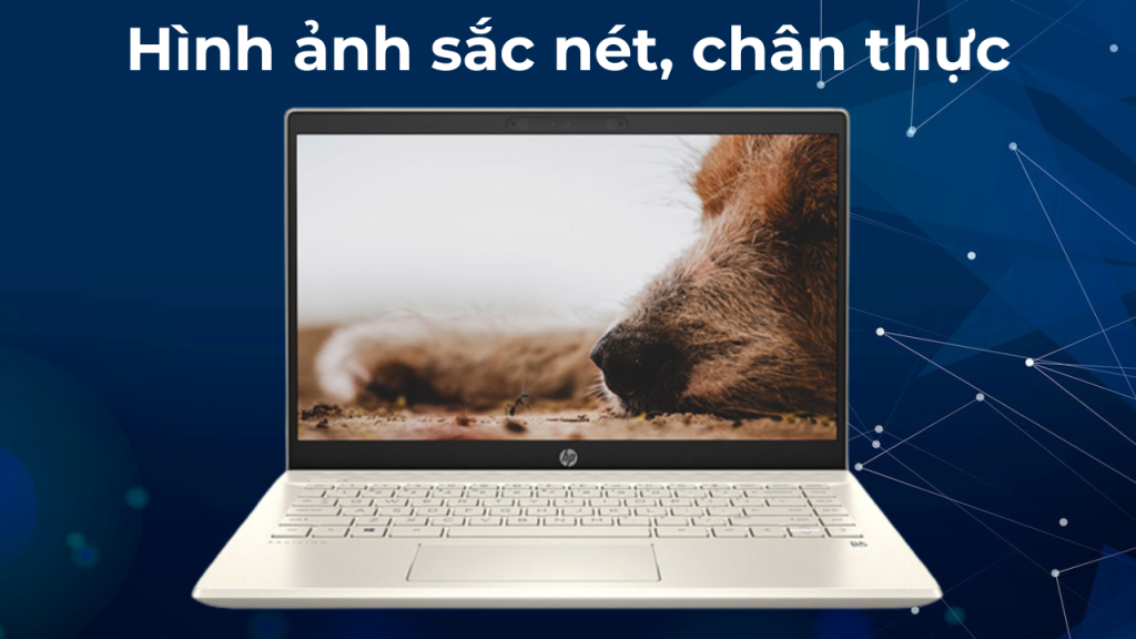 HP Pavilion 14 dv0534TU 4906